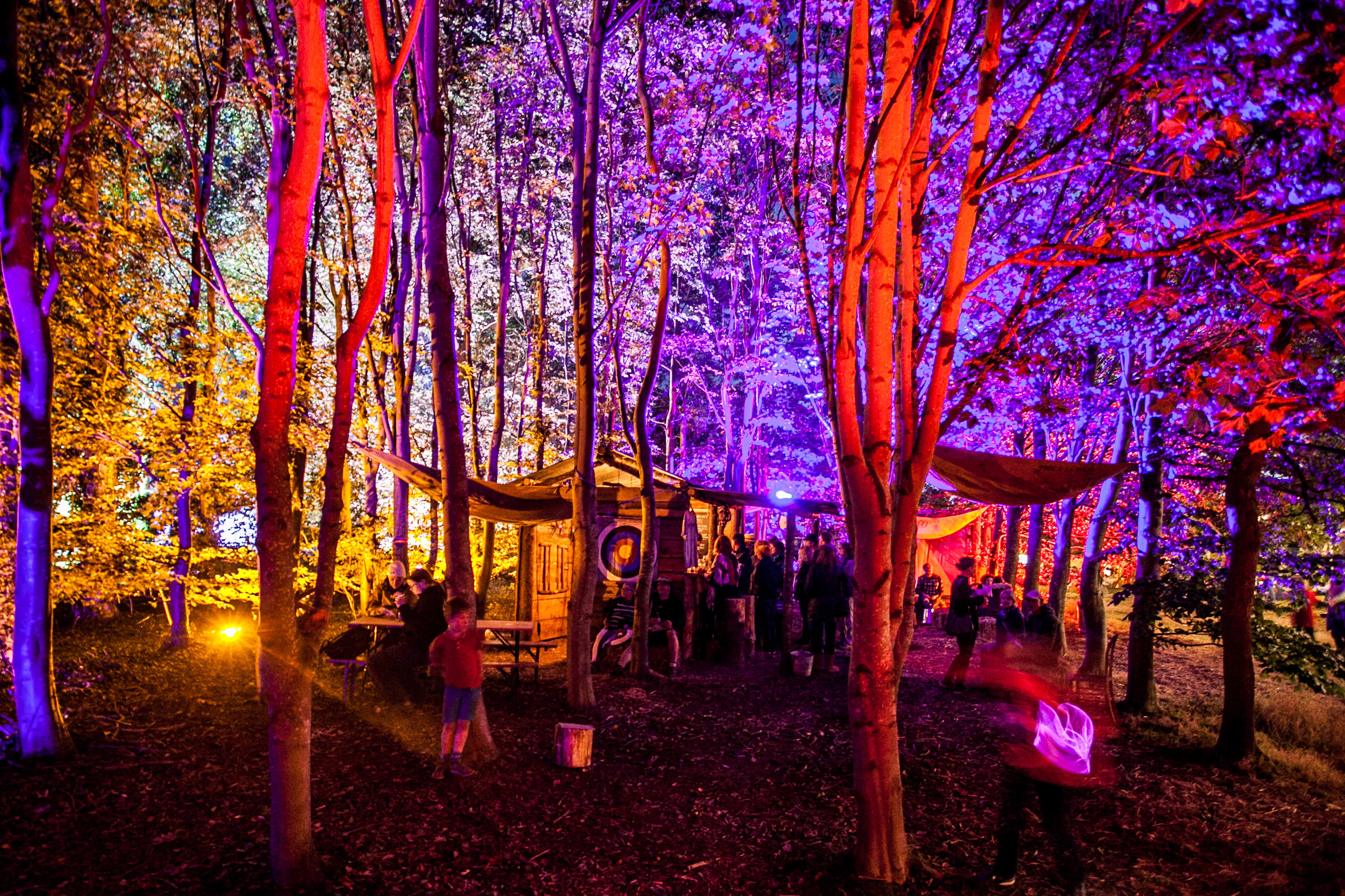 tgle-2015-photos-nenad-obradovic-IMG_2662