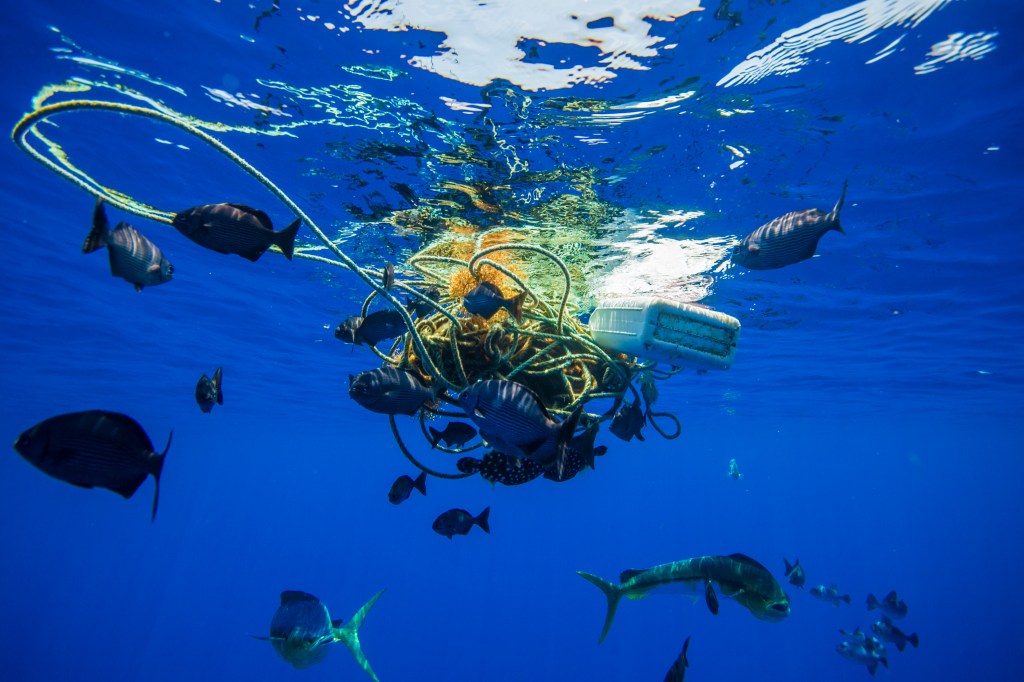 What lies beneath: The plastic pollution crisis and how we deal with&nbsp;it